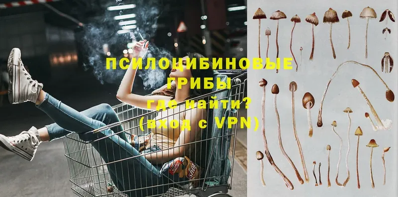 Галлюциногенные грибы мицелий  Арск 