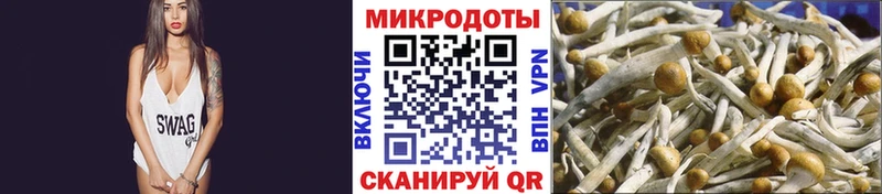 Псилоцибиновые грибы Cubensis ОМГ ОМГ ONION Арск купить закладку